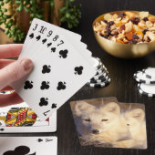 poolvos, Alopex lagopus Pokerkaarten (Insitu)