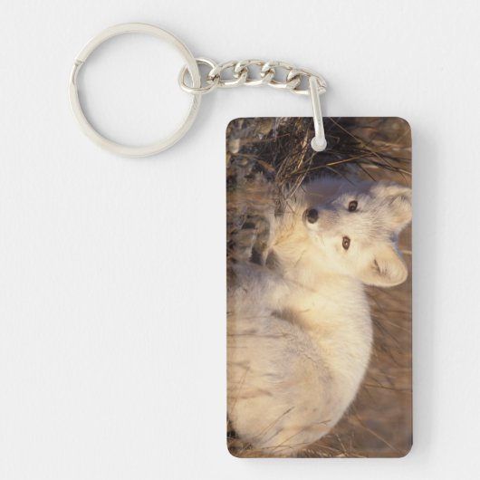 poolvos, Alopex lagopus Sleutelhanger (Voorkant)