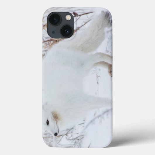 Poolvos Case-Mate iPhone Case (Achterkant)