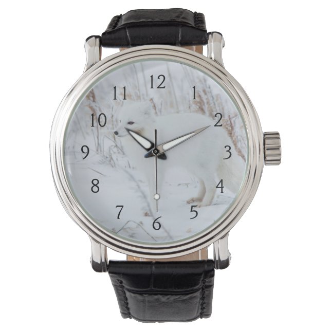 Poolvos Horloge (Voorkant)