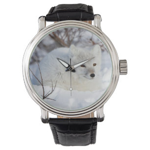Poolvos in de winter horloge
