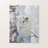 Poolvos in de winter legpuzzel (Verticaal)