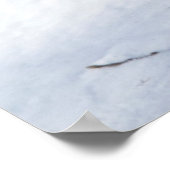 Poolvos in de winter poster (Hoek)