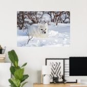 Poolvos in de winter poster (Thuiskantoor)