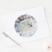 Poolvos in de winter ronde sticker (Envelop)