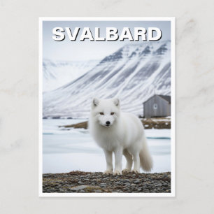 Poolvos in Svalbard Noorwegen Briefkaart