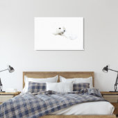 Poolvos opgerold in de winter canvas afdruk (Insitu (Slaapkamer))