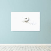 Poolvos opgerold in de winter canvas afdruk (Insitu (Houten vloer))