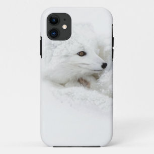 Poolvos opgerold in de winter iPhone 11 hoesje