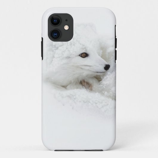 Poolvos opgerold in de winter Case-Mate iPhone case (Achterkant)