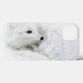 Poolvos opgerold in de winter Case-Mate iPhone case (Achterkant (horizontaal))