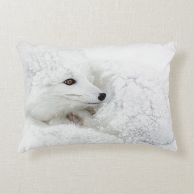 Poolvos opgerold in de winter decoratief kussen (Voorkant)