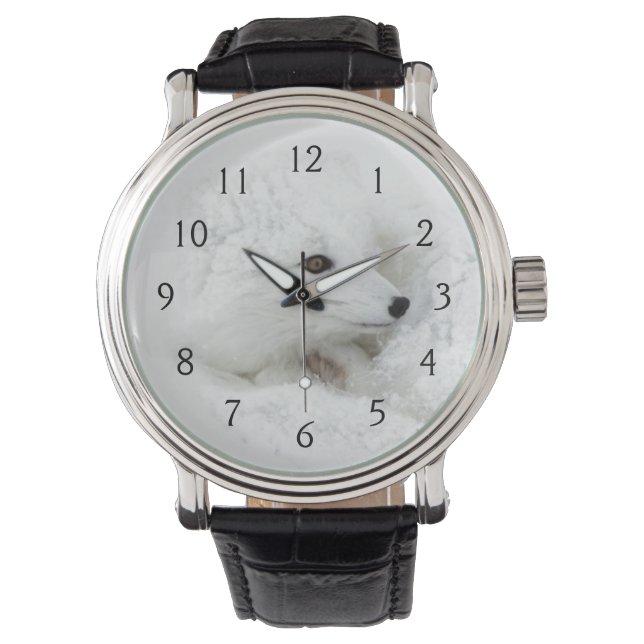 Poolvos opgerold in de winter horloge (Voorkant)