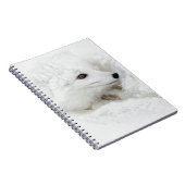 Poolvos opgerold in de winter notitieboek (Rechterzijde)
