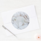 Poolvos Ronde Sticker (Envelop)
