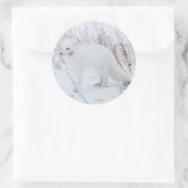 Poolvos Ronde Sticker (Tas)