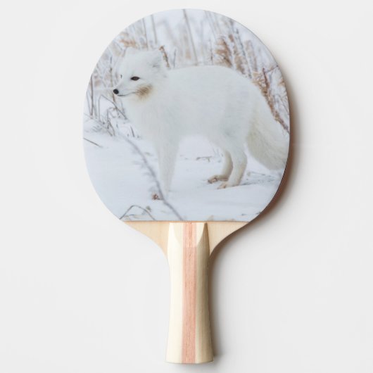 Poolvos Tafeltennisbatje (Voorkant)