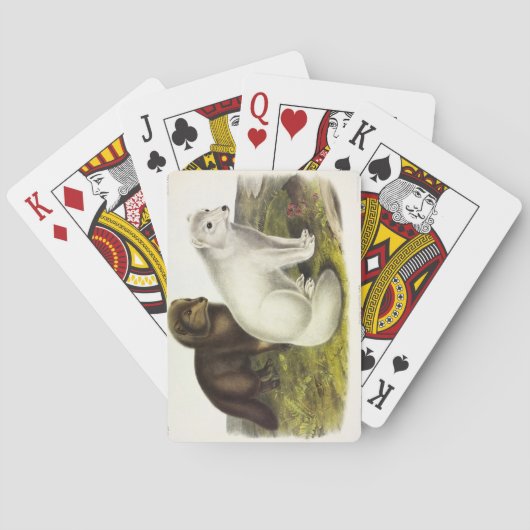 poolvos (witte vos, poolvos, sneeuwvos) pokerkaarten (Achterkant)