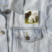 poolvos (witte vos, poolvos, sneeuwvos) vierkante button 5,1 cm (In situ)