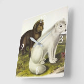 poolvos (witte vos, poolvos, sneeuwvos) vierkante klok (Hoek)
