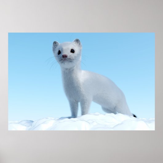Poolwezel Charme Poster (Voorkant)