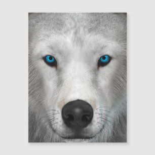 Poolwolf