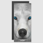 Poolwolf (Voorkant / Achterkant)