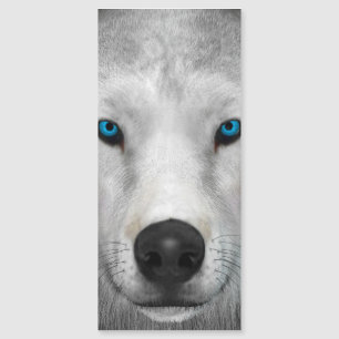 Poolwolf