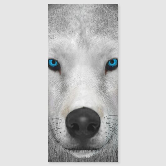 Poolwolf (Voorkant)