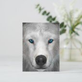 Poolwolf Briefkaart (Staand voorkant)