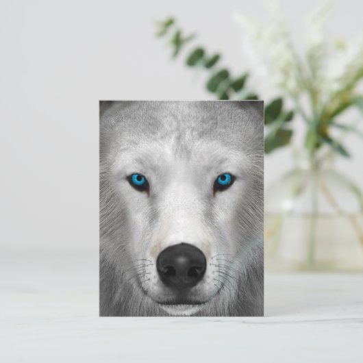 Poolwolf Briefkaart (Staand voorkant)