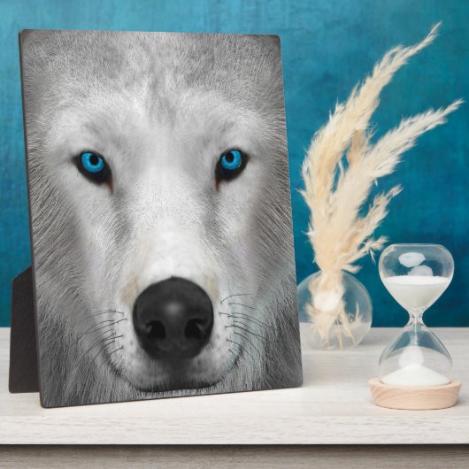 Poolwolf Fotoplaat (Zijkant)