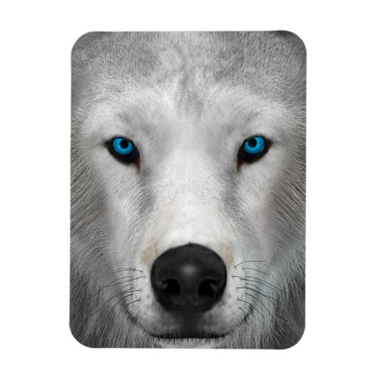 Poolwolf Magneet (Verticaal)