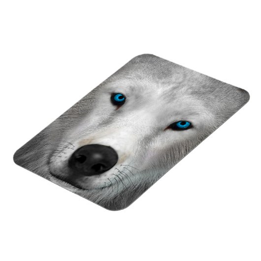 Poolwolf Magneet (Linkerzijde)