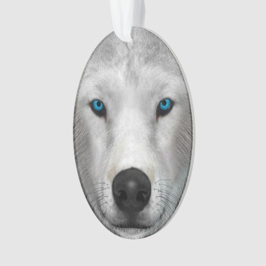 Poolwolf Ornament (voorkant)
