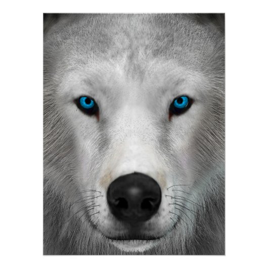Poolwolf Perfect Poster (Voorkant)
