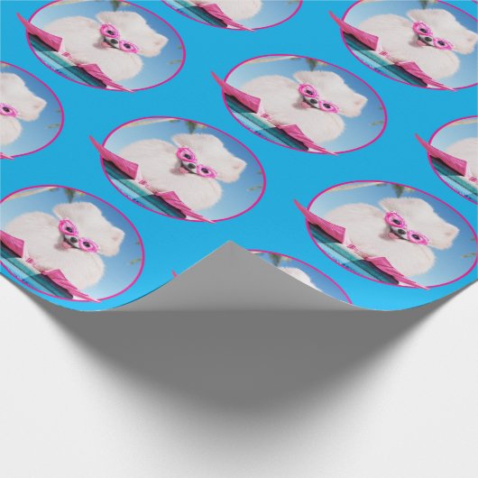 Poolzijdehond in veters cadeaupapier (Hoek)