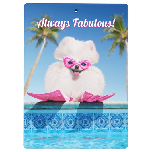 Poolzijdehond in veters klembord (Achterkant)