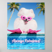 Poolzijdehond in veters poster (Voorkant)