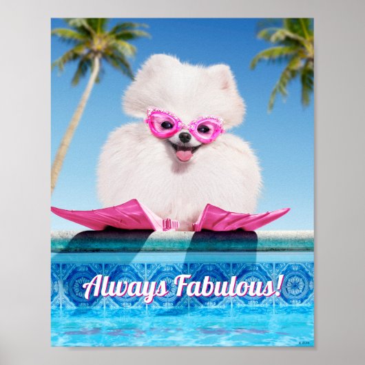 Poolzijdehond in veters poster (Voorkant)