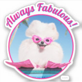 Poolzijdehond in veters sticker (Voorkant)