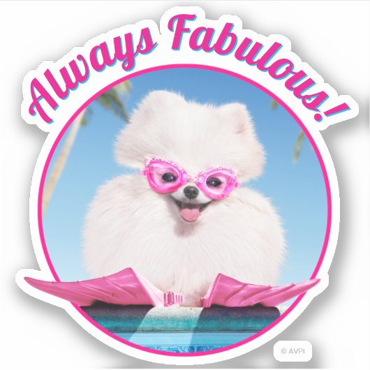 Poolzijdehond in veters sticker (Voorkant)