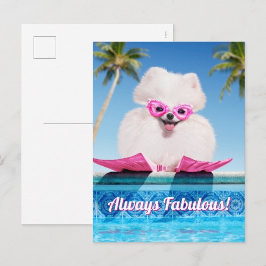 Poolzijdehond in veters uitnodiging briefkaart (Voorkant / Achterkant)