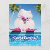 Poolzijdehond in veters uitnodiging briefkaart (Voorkant)