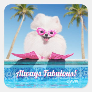 Poolzijdehond in veters vierkante sticker