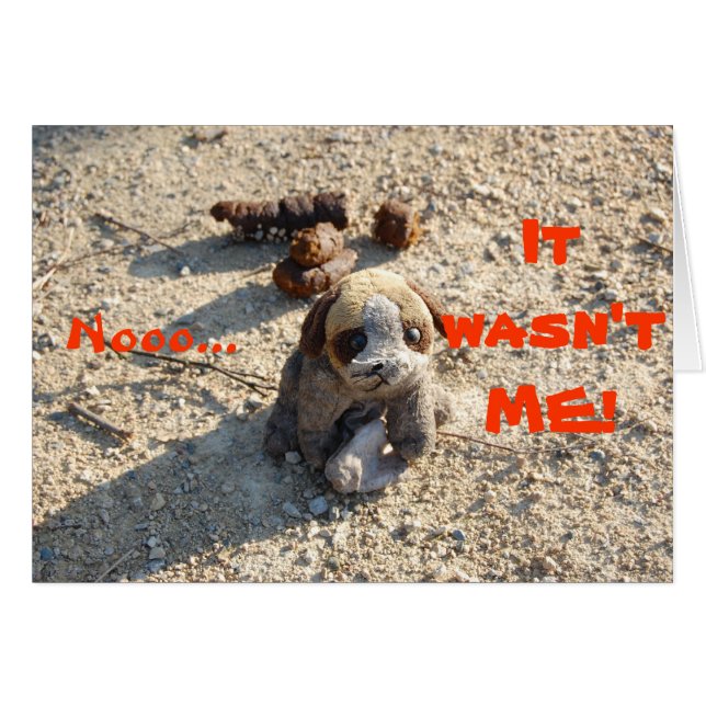 Poop (Voorkant Horizontaal)