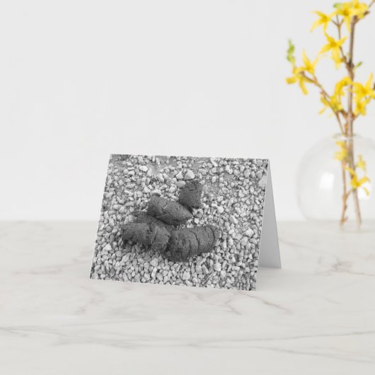 poop 001 kaart (Gele Bloem)