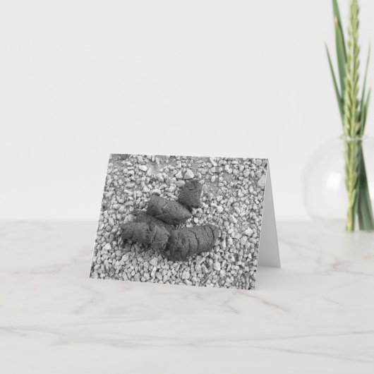 poop 001 kaart (Voorkant)