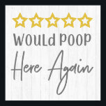 Poop hier opnieuw Rustic Farmhouse White Wood Poster<br><div class="desc">Zou hier opnieuw een bijtende Wood Bath-kunst met witte letters en een eenvoudige minimale tekst op witte gewassen houten achtergrond plaatsen. Een landskievormig ontwerp om de stemming in je badkamer op te helderen! Een grappig huislanddecor voor de badkamer.</div>