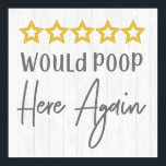 Poop hier opnieuw Rustic Farmhouse White Wood Poster<br><div class="desc">Zou hier opnieuw een bijtende Wood Bath-kunst met witte letters en een eenvoudige minimale tekst op witte gewassen houten achtergrond plaatsen. Een landskievormig ontwerp om de stemming in je badkamer op te helderen! Een grappig huislanddecor voor de badkamer.</div>